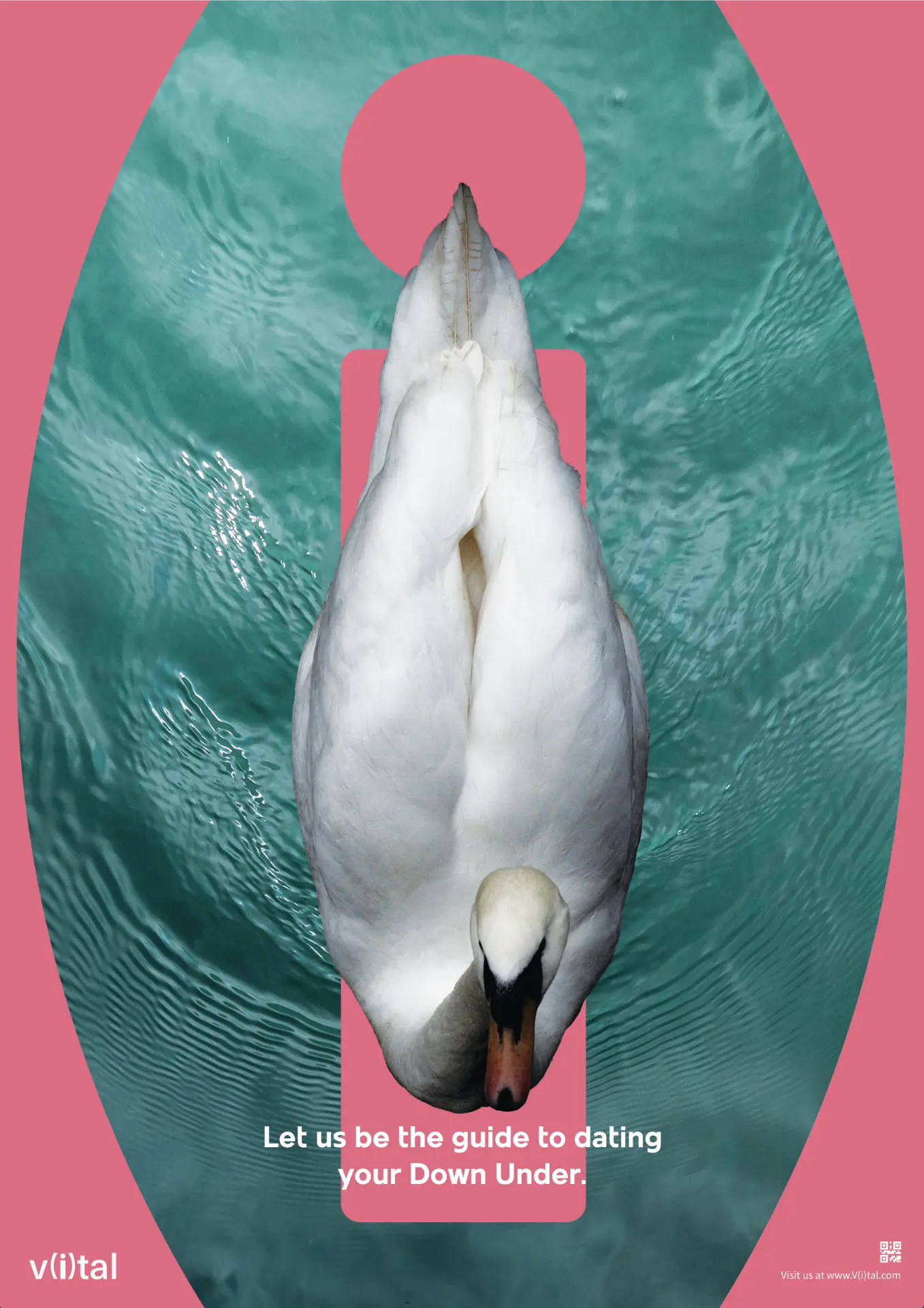 V(i)tal poster featuring a swan with a headline about dating your down under