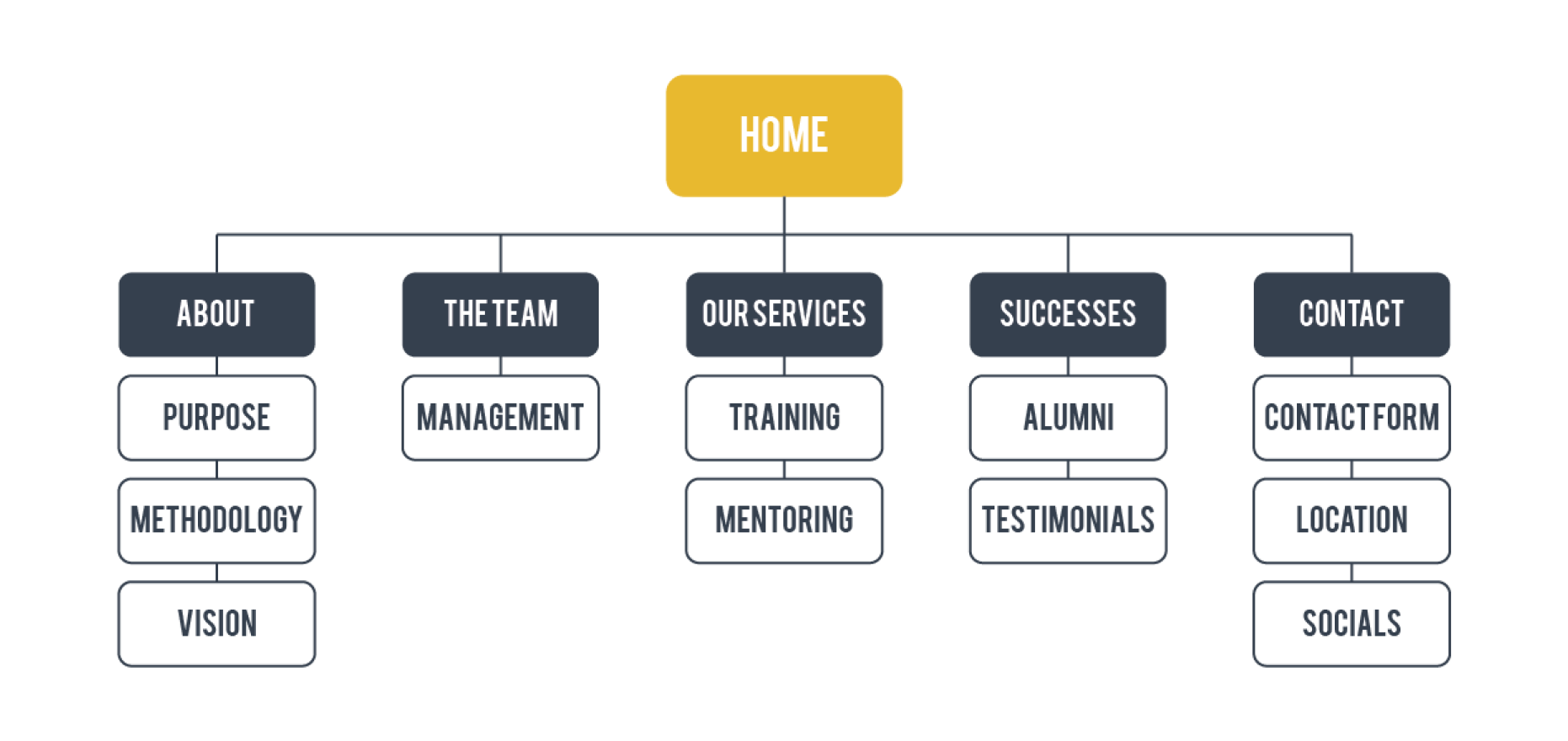 Volta site map: home, about, the team, our services, successes and contact